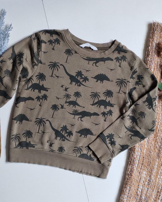 Poleron H&M talla 6-8 años