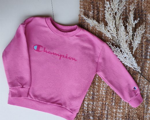 Poleron Champion 18 meses