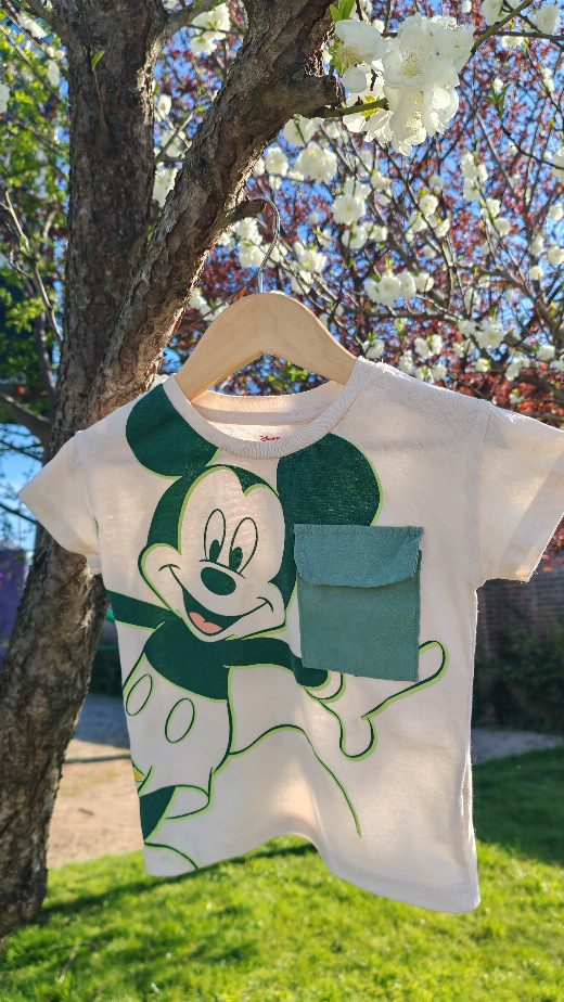 Polera disney 12 meses